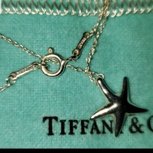 Tiffany & Co. Jewelry - TIFFANY SILVER PERETTI STARFISH Tiffany & Co. Jewelry - TIFFANY SILVER PERETTI STARFISH